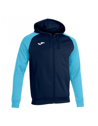 FELPA ACADEMY IV JOMA