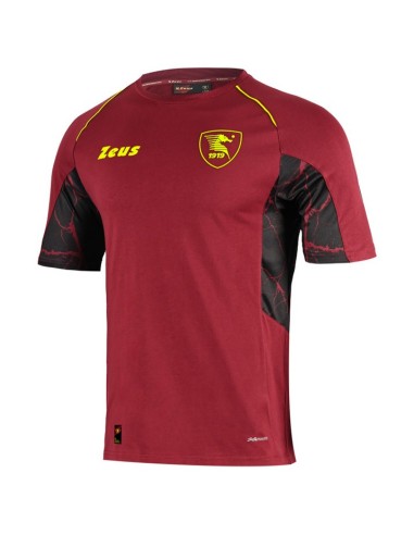 TECHNICAL SHIRT TEAM 2024-2025