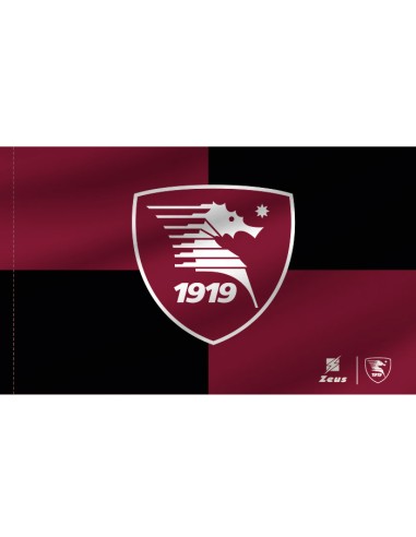 US SALERNITANA FLAG LOGO