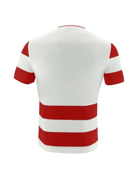 ALCYON MAGLIA MACRON