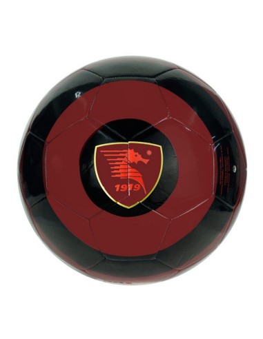PALLONE SALERNITANA BIANCO 23/24