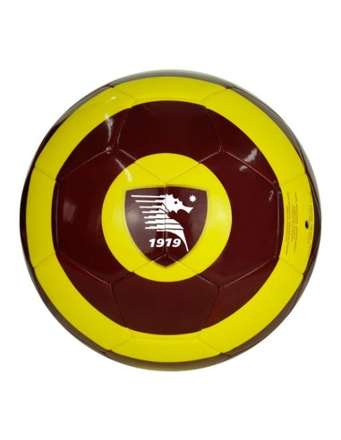 PALLONE SALERNITANA GIALLO 23/24