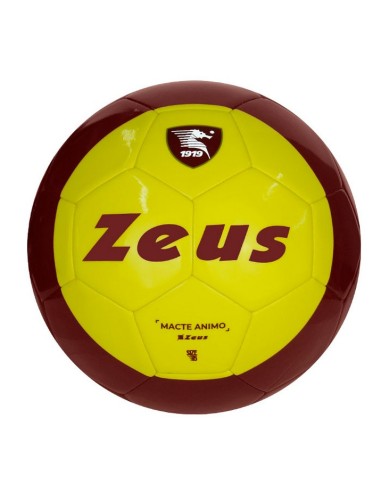 PALLONE SALERNITANA GIALLO 23/24