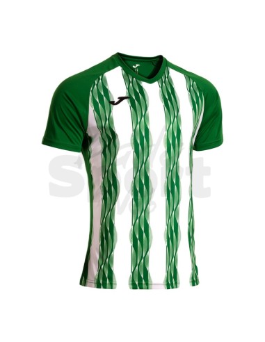 MAGLIA INTER V VERDE BIANCO