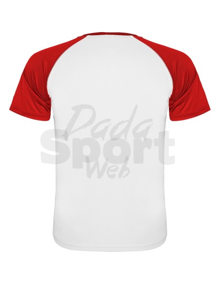 ROLY MAGLIA INDIANAPOLIS