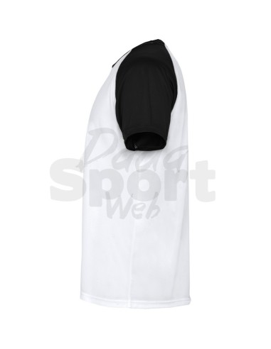 ROLY MAGLIA INDIANAPOLIS