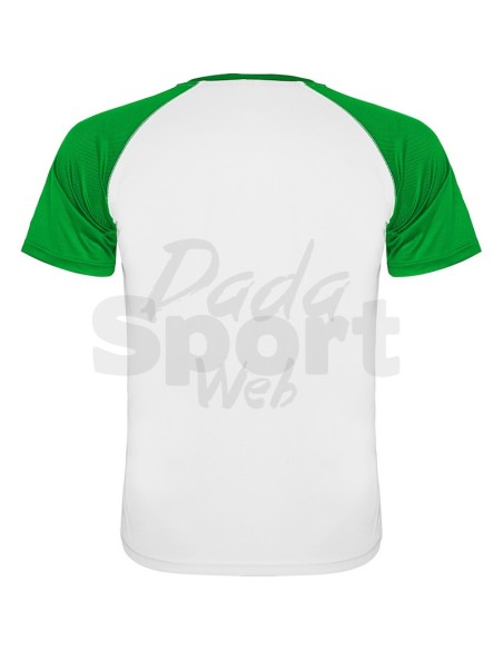 ROLY MAGLIA INDIANAPOLIS