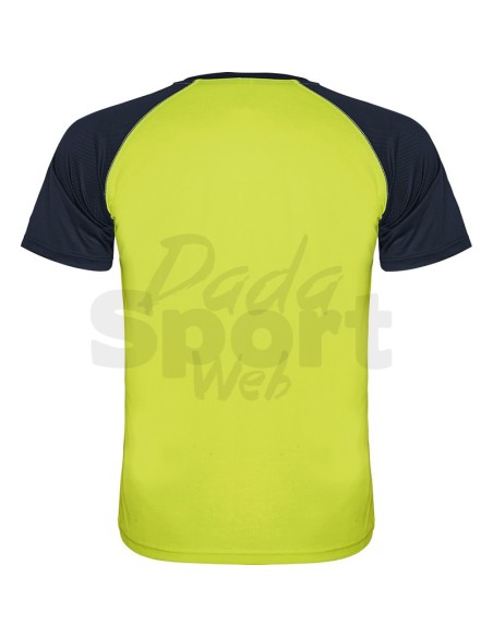 ROLY MAGLIA INDIANAPOLIS