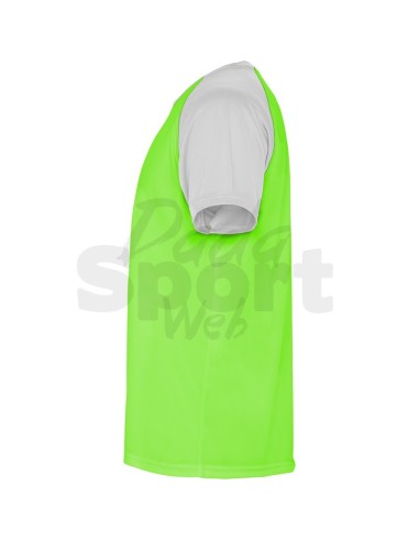 ROLY MAGLIA INDIANAPOLIS