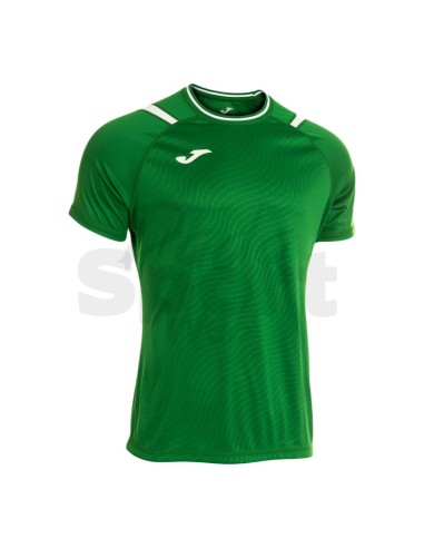 MAGLIA DINAMO II VERDE BIANCO