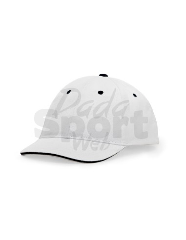 ROLY CAPPELLINO PANEL
