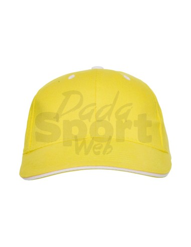 ROLY CAPPELLINO PANEL