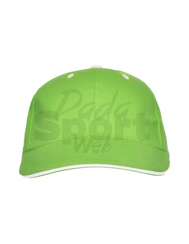 ROLY CAPPELLINO PANEL