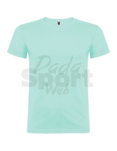 T- SHIRT BEAGLE  ROLY