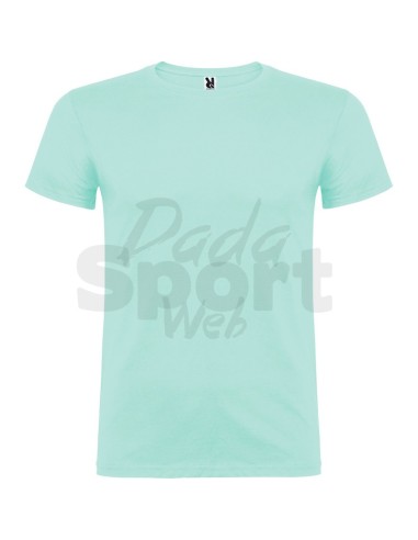 T- SHIRT BEAGLE  ROLY