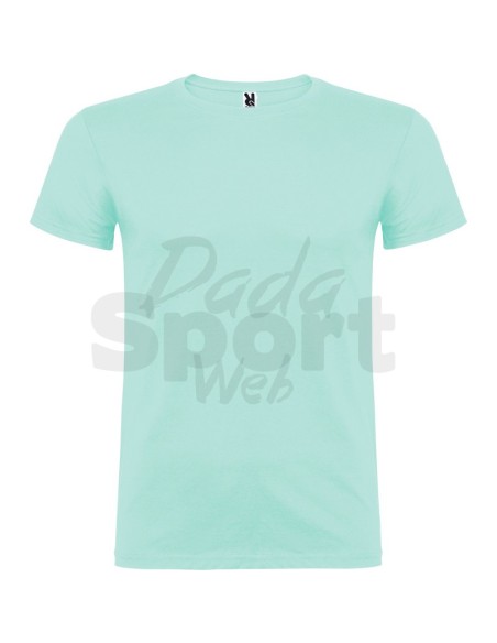 T- SHIRT BEAGLE  ROLY