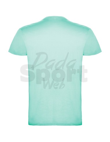 T- SHIRT BEAGLE  ROLY