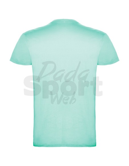 T- SHIRT BEAGLE  ROLY