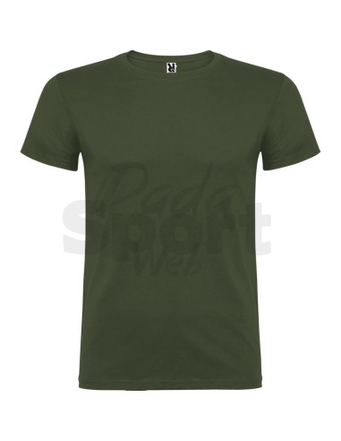 T- SHIRT BEAGLE  ROLY