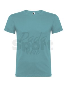 T- SHIRT BEAGLE  ROLY