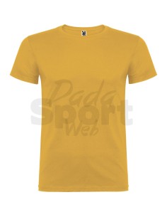 T- SHIRT BEAGLE  ROLY