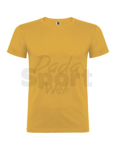 T- SHIRT BEAGLE  ROLY