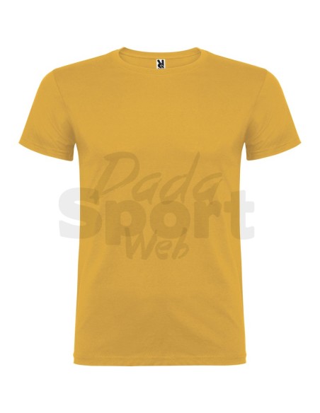 T- SHIRT BEAGLE  ROLY