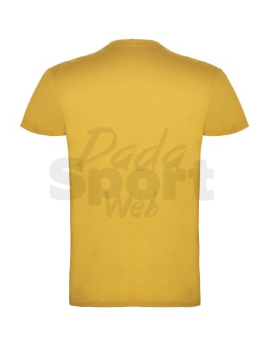 T- SHIRT BEAGLE  ROLY