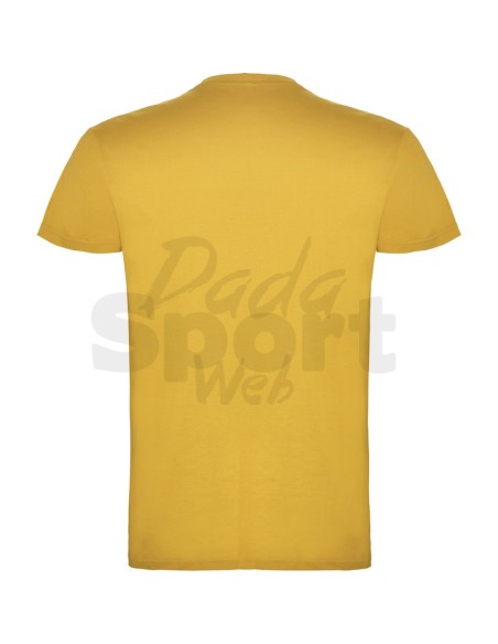 T- SHIRT BEAGLE  ROLY