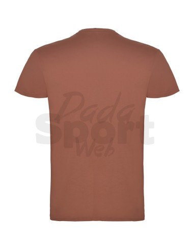 T- SHIRT BEAGLE  ROLY