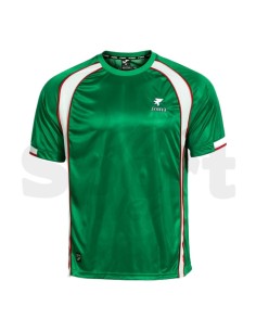 Maglia Calcio Retrò Joma Verde Bianco Edizione Speciale...
