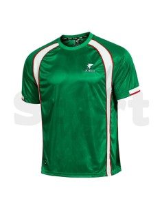 Maglia Calcio Retrò Joma Verde Bianco Edizione Speciale... 2