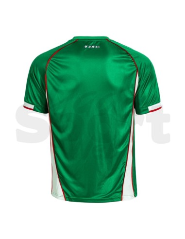 Maglia Calcio Retrò Joma Verde Bianco Edizione...