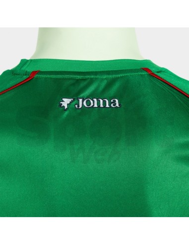 Maglia Calcio Retrò Joma Verde Bianco Edizione...