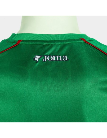 Maglia Calcio Retrò Joma Verde Bianco Edizione Speciale Mondiale 2026