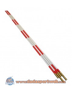 COPPIA ANTENNE VOLLEY