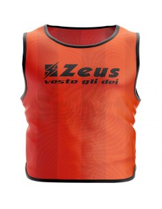 10 CASACCHE PROMO ZEUS 2