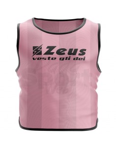 10 CASACCHE PROMO ZEUS 2