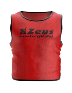 10 CASACCHE PROMO ZEUS 2