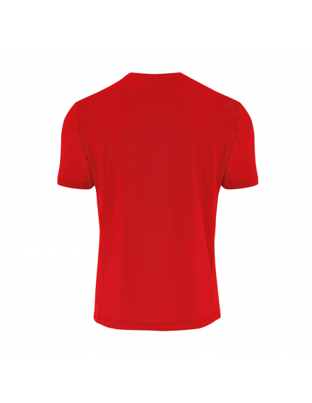 MAGLIA CALCIO EVERTON ERREA