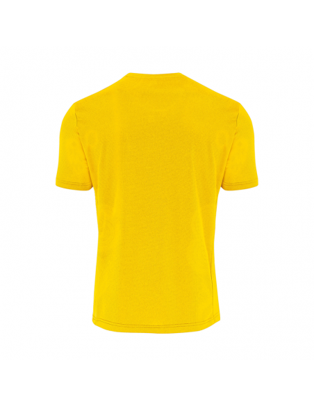 MAGLIA CALCIO EVERTON ERREA