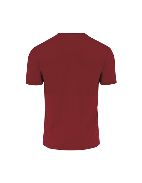 MAGLIA CALCIO EVERTON ERREA