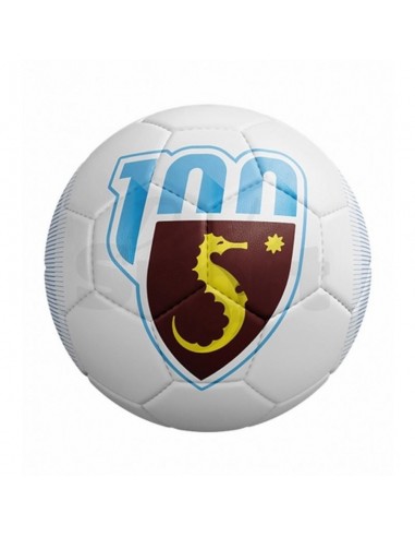 PALLONE ARECHI 100 BIANCO ZEUS