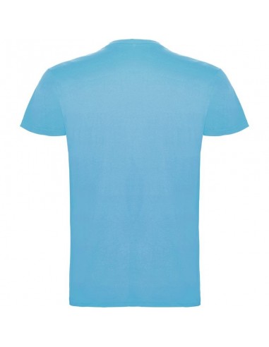 T- SHIRT BEAGLE  ROLY