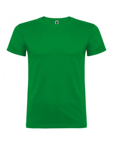 T- SHIRT BEAGLE  ROLY