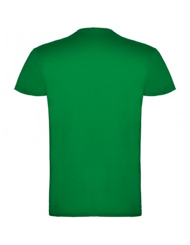 T- SHIRT BEAGLE  ROLY