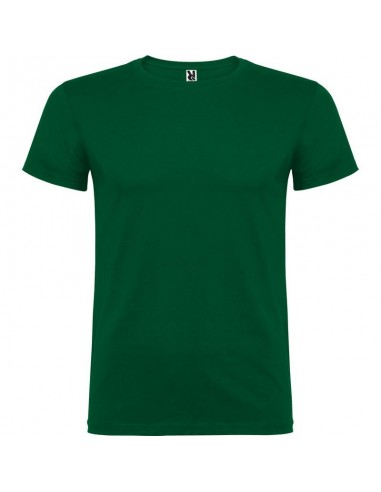 T- SHIRT BEAGLE  ROLY