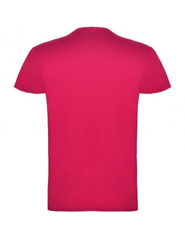 T- SHIRT BEAGLE  ROLY