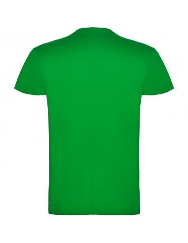 T- SHIRT BEAGLE  ROLY