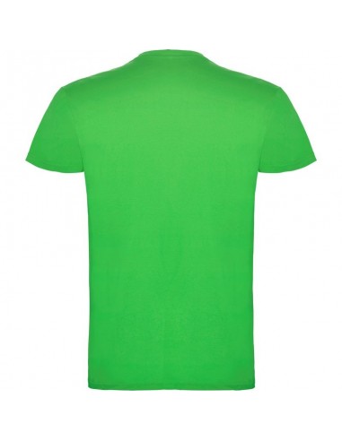 T- SHIRT BEAGLE  ROLY